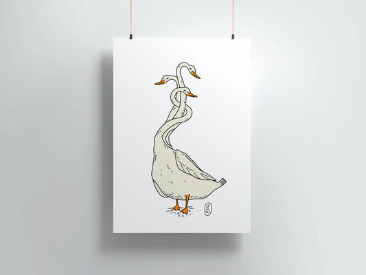 the sacred swan
